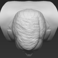 Nigel Farage bust 3D printing ready stl obj formats - Thumbnail 12