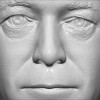 Nigel Farage bust 3D printing ready stl obj formats - Thumbnail 14