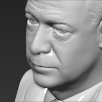 Nigel Farage bust 3D printing ready stl obj formats - Thumbnail 17