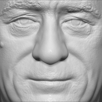 Robert De Niro bust ready for full color 3D printing - Thumbnail 19