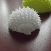 Hedgehog Forte - Thumbnail 4