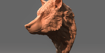 Image 273885