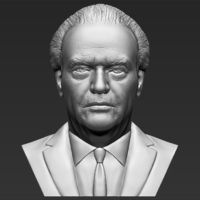 Small Jack Nicholson bust 3D printing ready stl obj formats 3D Printing 273956