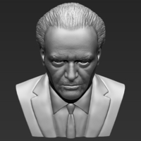 Jack Nicholson bust 3D printing ready stl obj formats - Thumbnail 13