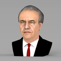 Jack Nicholson bust ready for full color 3D printing - Thumbnail 2