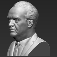 Jack Nicholson bust ready for full color 3D printing - Thumbnail 15
