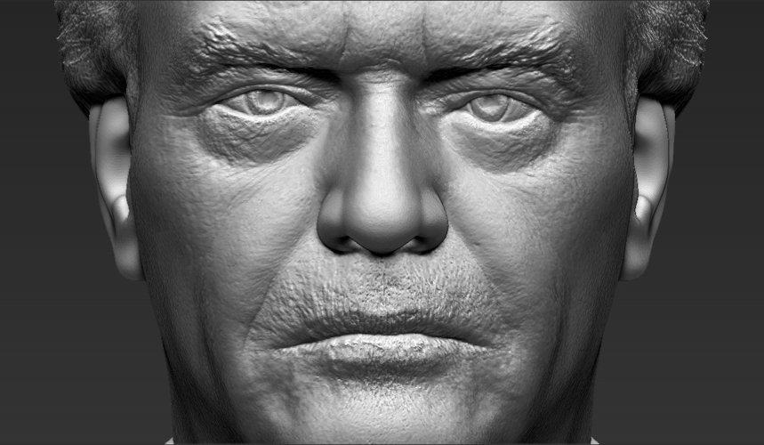 Jack Nicholson bust ready for full color 3D printing 3D Print 273999