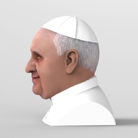 Pope Francis bust ready for full color 3D printing - Thumbnail 4
