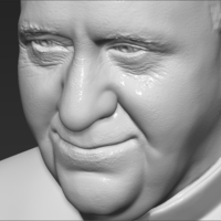 Pope Francis bust ready for full color 3D printing - Thumbnail 22