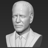Joe Biden bust 3D printing ready stl obj - Thumbnail 2