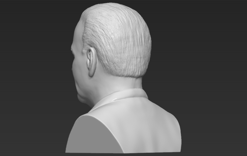 Joe Biden bust 3D printing ready stl obj 3D Print 274176
