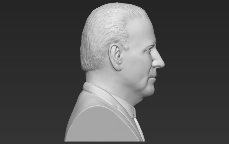 Joe Biden bust 3D printing ready stl obj 3D Print 274179