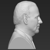 Joe Biden bust 3D printing ready stl obj - Thumbnail 9