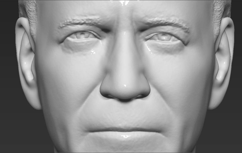 Joe Biden bust 3D printing ready stl obj 3D Print 274188