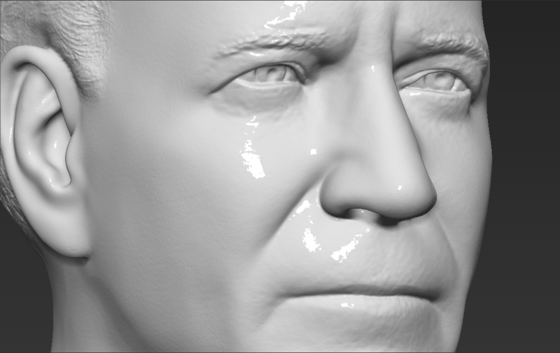 Joe Biden bust 3D printing ready stl obj 3D Print 274189