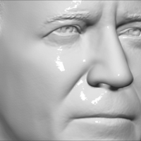 Joe Biden bust 3D printing ready stl obj - Thumbnail 19