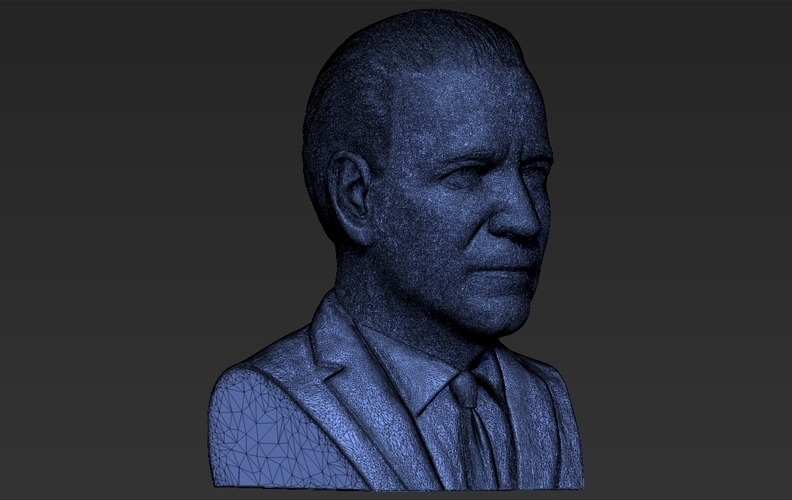 Joe Biden bust 3D printing ready stl obj 3D Print 274193