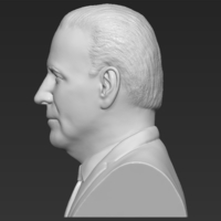Joe Biden bust ready for full color 3D printing - Thumbnail 14