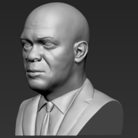Samuel L Jackson bust 3D printing ready stl obj formats - Thumbnail 3