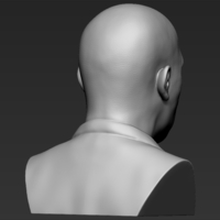 Samuel L Jackson bust 3D printing ready stl obj formats - Thumbnail 7