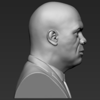 Samuel L Jackson bust 3D printing ready stl obj formats - Thumbnail 8