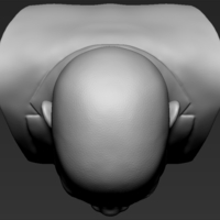 Samuel L Jackson bust 3D printing ready stl obj formats - Thumbnail 15