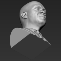 Samuel L Jackson bust 3D printing ready stl obj formats - Thumbnail 21
