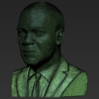 Samuel L Jackson bust ready for full color 3D printing - Thumbnail 24