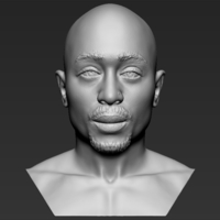 Small Tupac Shakur bust 3D printing ready stl obj formats 3D Printing 274540