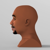 Tupac Shakur bust ready for full color 3D printing - Thumbnail 4