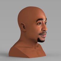 Tupac Shakur bust ready for full color 3D printing - Thumbnail 5