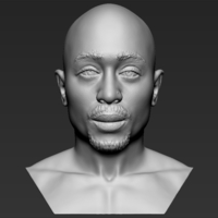 Tupac Shakur bust ready for full color 3D printing - Thumbnail 13