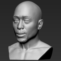 Tupac Shakur bust ready for full color 3D printing - Thumbnail 15