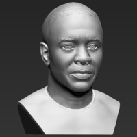 Dr Dre bust 3D printing ready stl obj - Thumbnail 10