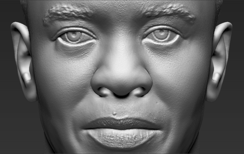 Dr Dre bust ready for full color 3D printing 3D Print 274631