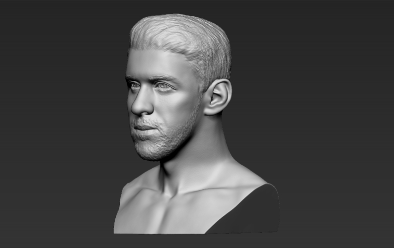 Michael Phelps bust ready for full color 3D printing 3D Print 274715