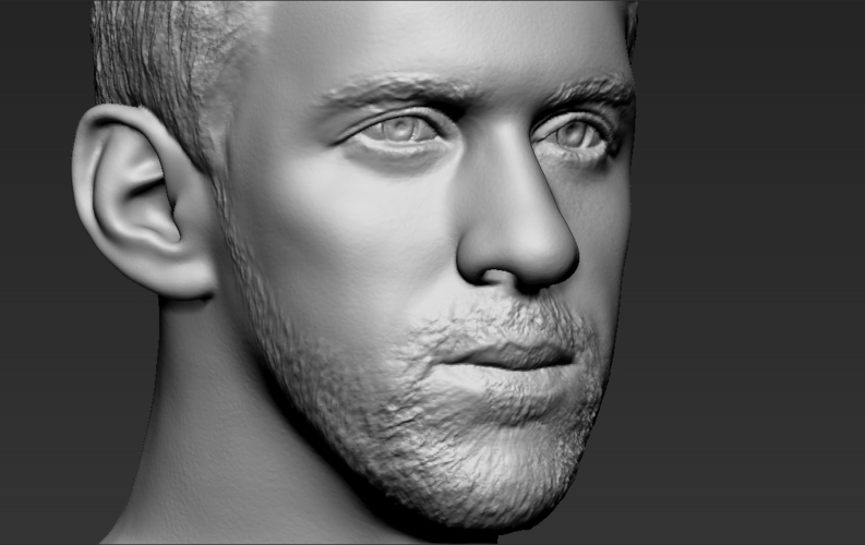 Michael Phelps bust ready for full color 3D printing 3D Print 274719