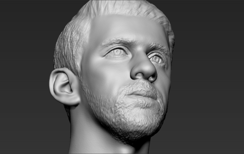 Michael Phelps bust ready for full color 3D printing 3D Print 274721
