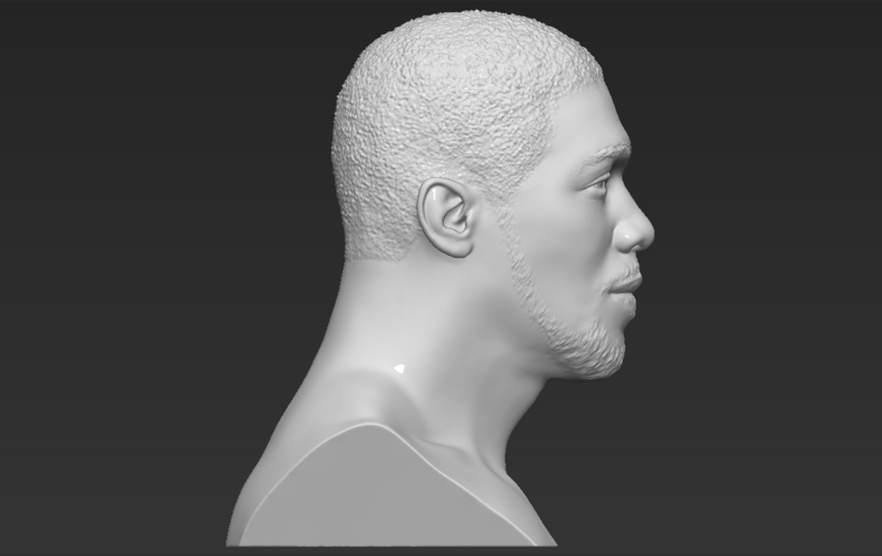 Anthony Joshua bust 3D printing ready stl obj formats 3D Print 274731
