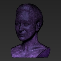 Meryl Streep bust 3D printing ready stl obj formats - Thumbnail 21