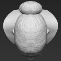 Michelle Obama bust 3D printing ready stl obj - Thumbnail 14