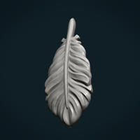 Bird Feather - Thumbnail 7