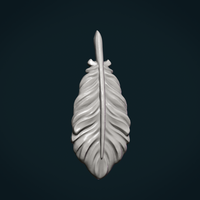 Bird Feather - Thumbnail 8