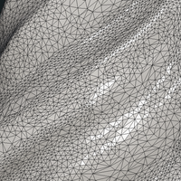 Bird Feather - Thumbnail 14