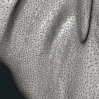 Bird Feather - Thumbnail 15