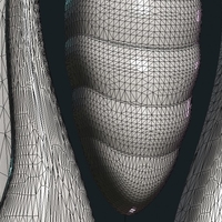 Celtic Butterfly - Thumbnail 17