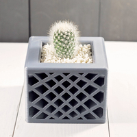 Star Spectrum Planter - Thumbnail 2