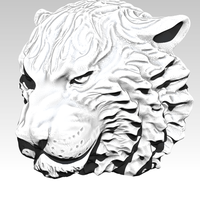 Angry Tiger - Thumbnail 2