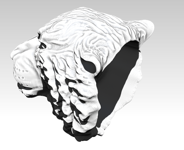 Angry Tiger 3D Print 275313
