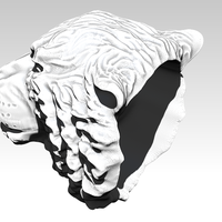 Angry Tiger - Thumbnail 5